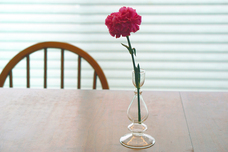 有限会社ポッシュリビングのプレスリリース画像3