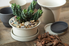 有限会社ポッシュリビングのプレスリリース画像5