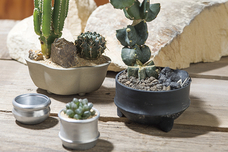 有限会社ポッシュリビングのプレスリリース画像6