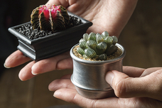 有限会社ポッシュリビングのプレスリリース画像7