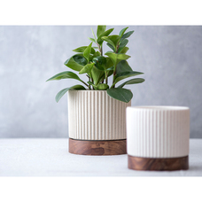 有限会社ポッシュリビングのプレスリリース画像3