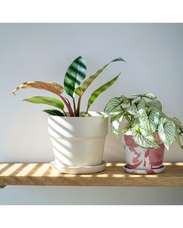 有限会社ポッシュリビングのプレスリリース画像5