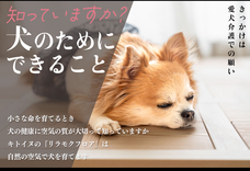 キトイヌのプレスリリース画像1