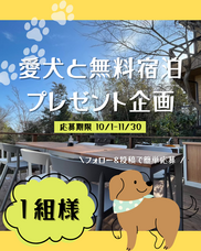 Nowhere Group株式会社のプレスリリース画像1