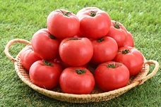 三つ星株式会社のプレスリリース画像4