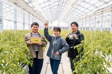 三つ星株式会社のプレスリリース画像2