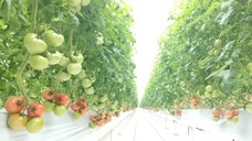 三つ星株式会社のプレスリリース画像3