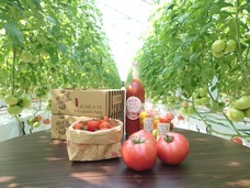 三つ星株式会社のプレスリリース画像1