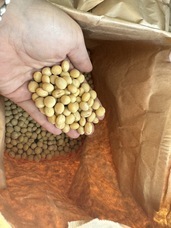 鬼糀-onikoji-のプレスリリース画像1