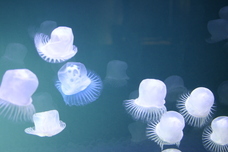 想芸館　浮遊Factoryのプレスリリース画像3