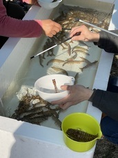 株式会社三恒のプレスリリース画像1