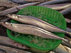 株式会社三恒のプレスリリース画像2