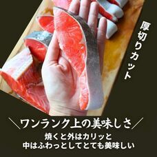 株式会社三恒のプレスリリース画像1