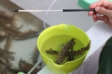 株式会社三恒のプレスリリース画像5