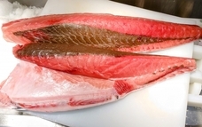 株式会社三恒のプレスリリース画像3