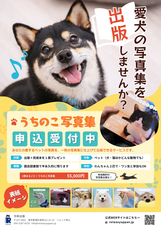 アッカ・コミュニケーションズ合同会社のプレスリリース画像1