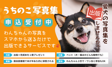 アッカ・コミュニケーションズ合同会社のプレスリリース画像1