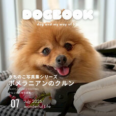 アッカ・コミュニケーションズ合同会社のプレスリリース画像3