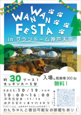 Eager Beaverのプレスリリース画像2