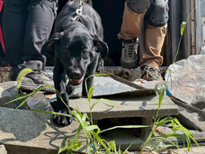 Eager Beaverのプレスリリース画像10