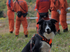 Eager Beaverのプレスリリース画像9