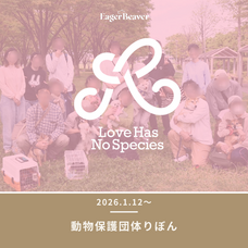 Eager Beaverのプレスリリース画像8