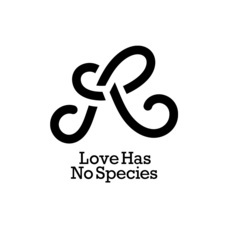 Eager Beaverのプレスリリース画像1