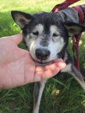 Eager Beaverのプレスリリース画像11