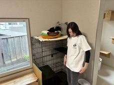 Eager Beaverのプレスリリース画像14