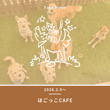 Eager Beaverのプレスリリース画像14