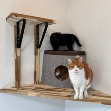 Eager Beaverのプレスリリース画像17