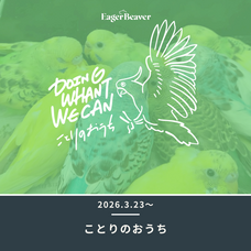 Eager Beaverのプレスリリース画像3