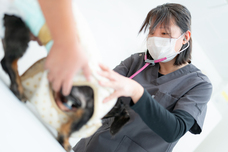 株式会社デンタルオレンジのプレスリリース画像11