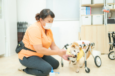 株式会社デンタルオレンジのプレスリリース画像10