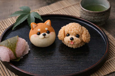 株式会社デンタルオレンジのプレスリリース画像5