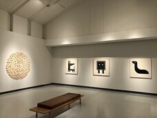 株式会社designshopのプレスリリース画像5