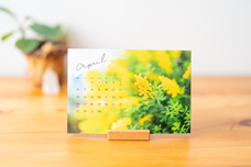 旅photographyのプレスリリース画像1