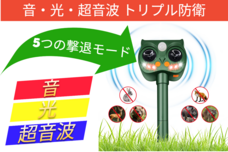 peach storeのプレスリリース画像1