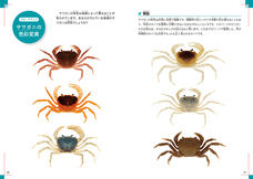 株式会社緑書房のプレスリリース画像2