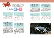 株式会社緑書房のプレスリリース画像5