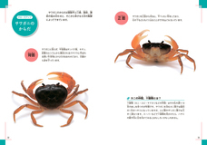 株式会社緑書房のプレスリリース画像1