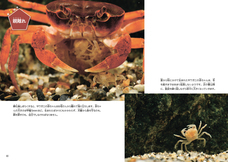 株式会社緑書房のプレスリリース画像4