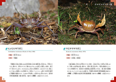 株式会社緑書房のプレスリリース画像3