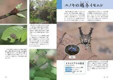 株式会社緑書房のプレスリリース画像5