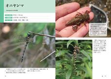 株式会社緑書房のプレスリリース画像1