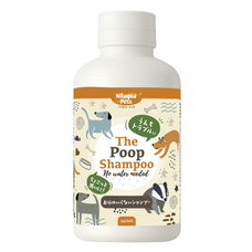 株式会社ドリームブロッサムのプレスリリース画像2