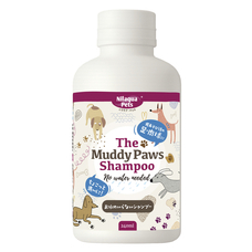 株式会社ドリームブロッサムのプレスリリース画像4