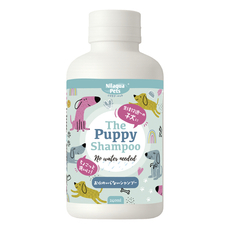 株式会社ドリームブロッサムのプレスリリース画像7