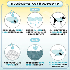 株式会社ドリームブロッサムのプレスリリース画像5