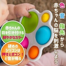 株式会社ドリームブロッサムのプレスリリース画像4